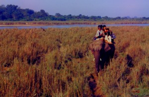 On elephant-back safari in Royal Chitwan National Park, Nepal