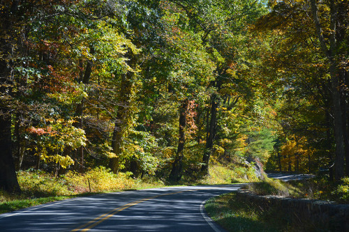 Skyline Drive