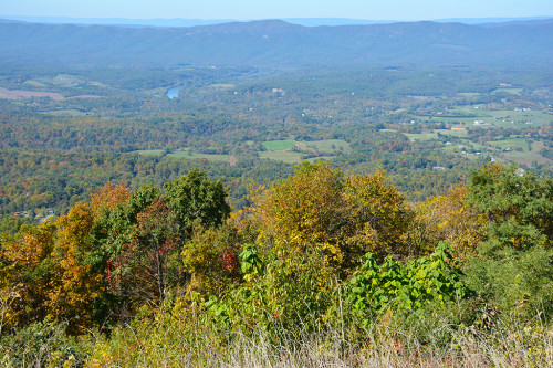 Shenandoah Signal Knob