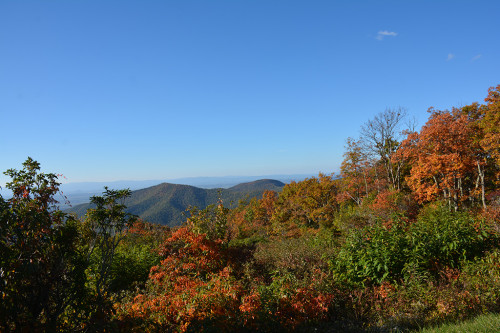 Jackson's Valley