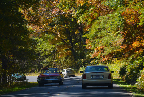 1962 Fairlaine Skyline Drive